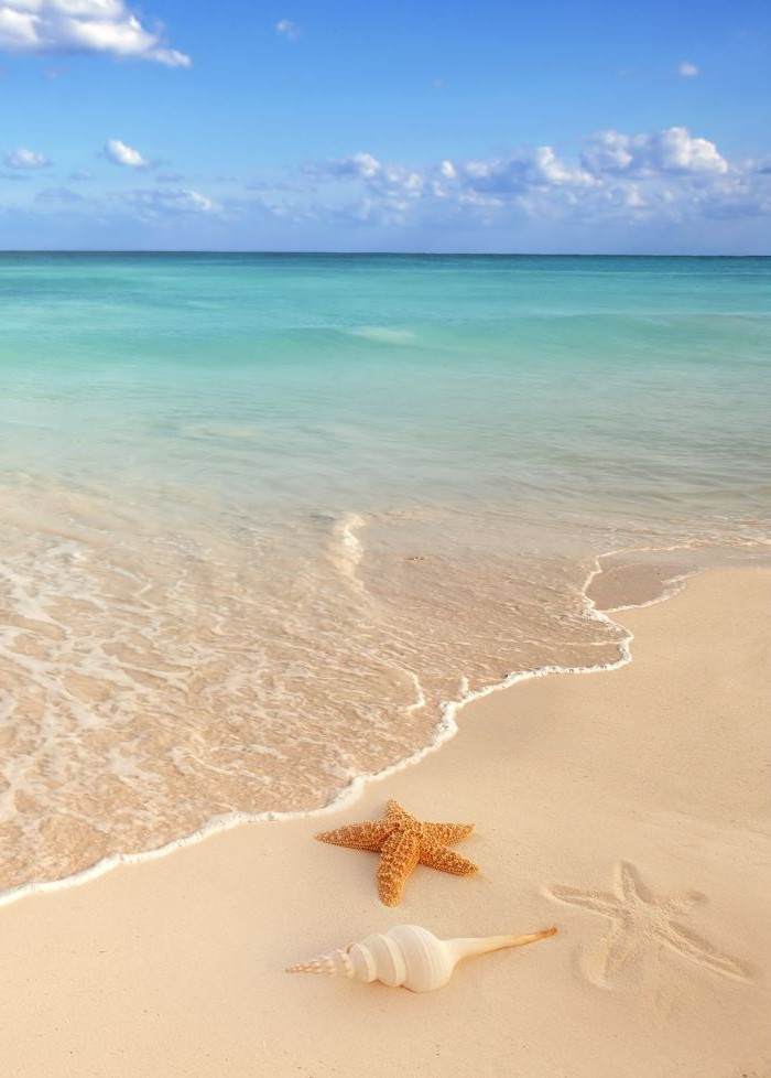 Caribbean Beachfront in the Bahamas