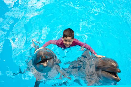 Freeport Grand Bahama Swim with the Dolphins