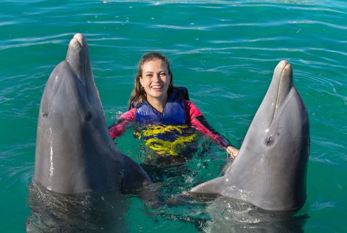 Swim with the Dolphins